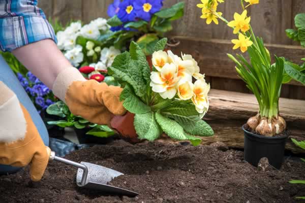 Create a great first impression when selling with these landscaping tips.